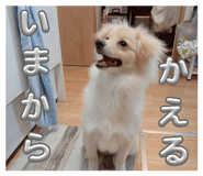 858014088
