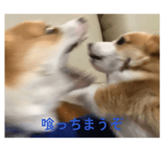 858014139