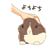 858014685