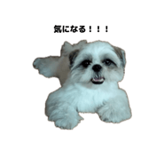 858015736