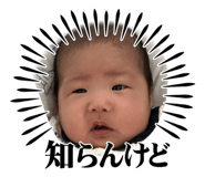 858015795