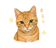 858015893