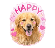 858016393