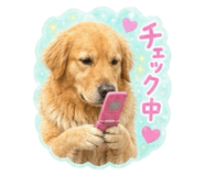 858016404