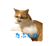 858016410
