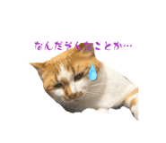 858016411