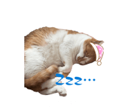 858016413