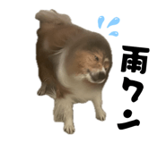 858017220