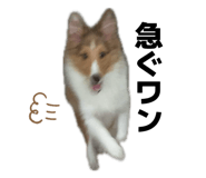 858017226
