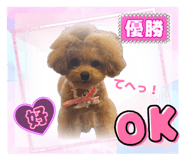 858017469