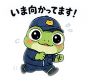 858018204