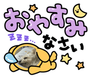 858018281