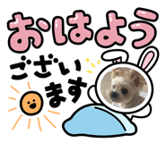 858018282