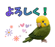 858018875