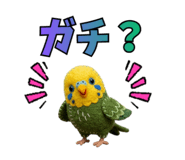 858018880