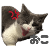 858019459