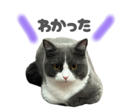 858019477