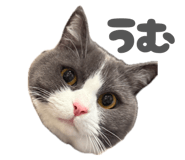 858019484