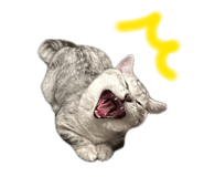 858019489