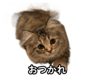 858020961
