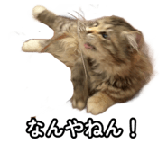 858020964