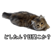 858020968