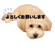 858021663