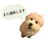 858021664