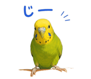 858021730