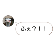 858021906