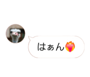 858021907
