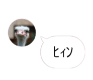 858021908