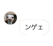 858021910