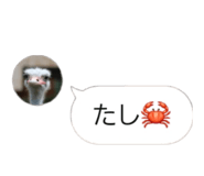 858021912