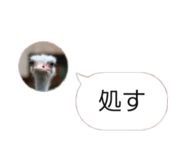 858021915