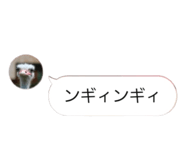 858021916