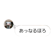 858021917