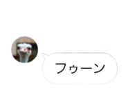 858021918