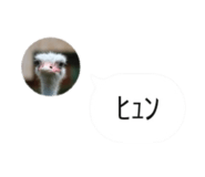 858021919