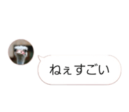 858021920