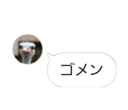 858021921