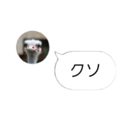 858021923