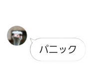 858021924