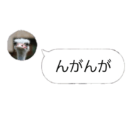 858021925