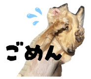 858022251