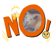 858022529