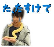 858022573