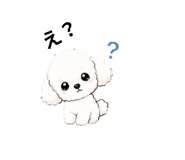 858022872