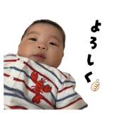 858023888