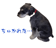 858023946